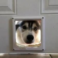 بفرما داخل!