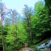 اهنگ نرو از محمد حاجی پور