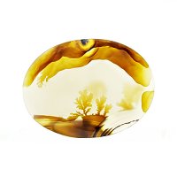 نگین عقیق شجر قائنات اصل با منظره تک درختی در کنار نهر آب کد N16