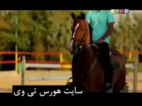 اسب سواری و خندوانه /سوارکاری داوود پوررضایی در خندوانه