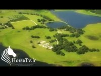 پرورش اسب و باشگاه سوارکاری بسیار زیبا