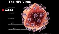 ایدز از نگاهی علمی