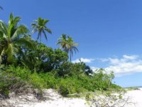 تصاویر شگفت انگیز "  جزیره تونگا "