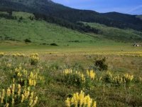 بهترین آهنگ برای مدیتیشن و یوگا شماره 10