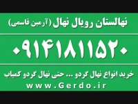 خرید نهال گردو رویال آرمین قاسمی ژنوتیپ برتر  09141811520