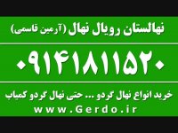 خرید نهال گردو درجه یک با مجوز و گواهی بهداشت در نهالستان 09141811520