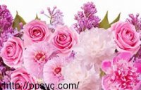 مشاوره ازدواج و خانواده