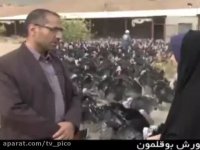 اموزش جوجه کشی از بوقلمون با استفاده از دستگاه جوجه کشی