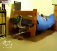 تخت مخصوص برای صبح روز شنبه،1 مهر رسید