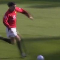 گل زیبای رود فن نیستلروی