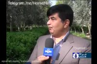 رسیدگی به مشکلات کورس بهاره سوارکاری گنبدکاووس سال 95