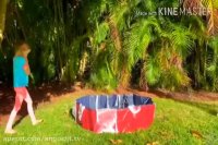 دوبله فارسی ناستیا و استیسی :: این داستان مسابقه رنگ و اشکال