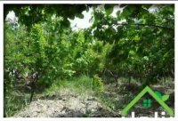 باغ 2000 متر در کردامیر شهریار کد1327