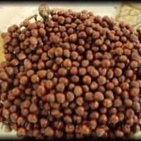 سالن عقد مهر دریا محدوده سعادت آباد