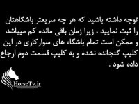 معرفی باشگاه های سوارکاری یزد - اسب سواری یزد