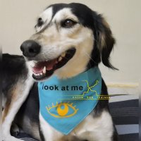 اموزش به سالوکی