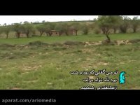 مایه ناز سالار عقیلی