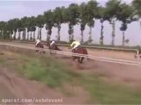 مصاحبه ریاست هیات سوارکاری استان گلستان