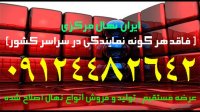 چندلر پیوندی اصلاح شدهنهالستان گردو پیوندی | 09121263524 نهالستان انواع نهال گردو دیرگل