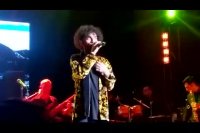 دیوانه - کاری از گروه داماهی