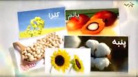 فاجعه مصرف روغن های مایع و جامد!