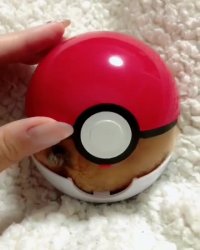 پوکمون واقعی