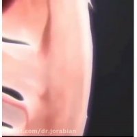 تشکیل قلب جنین در هفته 6 ام بارداری