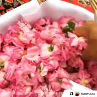 کلیپ تبریک ولادت حضرت رسول