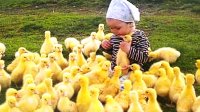 ویدیوهای خنده دار بچه ها و حیوانات بامزه