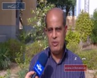 بیماری_ شانکر باکتریایی _ در باغ های مرکبات بوشهر