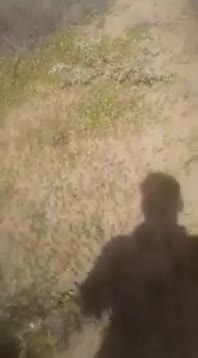 هجوم چند صد میلیونی ملخ های پرنده عربستانی به ایران