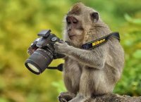 تست شخصیت جالب