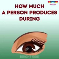 یک انسان در طول عمرش چه‌قدر تولید می‌کند؟