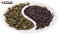 فرق بین چای سبز و سیاه چیست؟