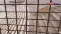 برف سنگین در استادیوم یادگار تبریز