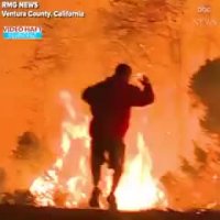 تب و تاب دیدنی برای نجات خرگوش از آتش سوزی