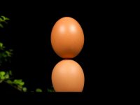 12 ترفند و آزمایش جالب با تخم مرغ