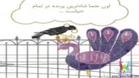 راز شاد بودن - شادی واقعی در زندگی - خود را با دیگران مقایسه نکنید