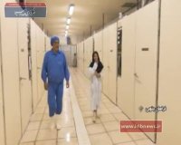 زنجیره یکپارچه تولید مرغ در بیرجند