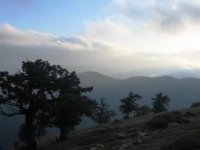 جنگل ابر زیباترین طبیعت ایران