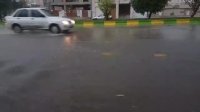 آبگرفتگی خیابان های بوشهر