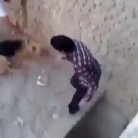 حمله سگ به انسان ته خنده attack dog with man