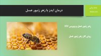 درمان ایدز با زهر زنبور عسل