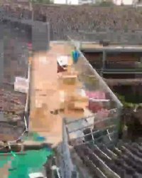 کاشت گیاه گوشتی در پشت بام ها در ژاپن