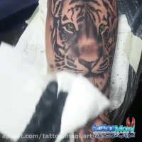 آموزش تتوی زیبای ببر روی ساعد