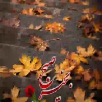 کلیپ صبح بخیر |آهنگ  زیبا | کلیپ زیبا | آهنگ پاییزی | کلیپ پاییزی زیبا