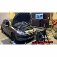 ریمپ 206 برروی داینو