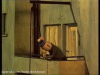 کارتون پت و مت Carpet