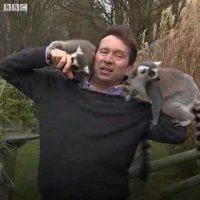 دردسرهای مجری بی‌بی‌سی در جمع لمورها
