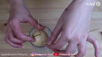 روش کاشت هسته آووکادو در آب و خاک همه اشتباه میکارن نکته مهم رشد سریعتر آووکادو